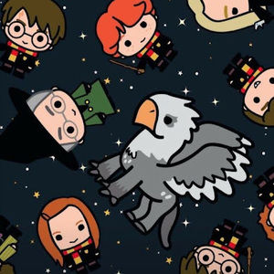 Meet your Posher, Anna elisa